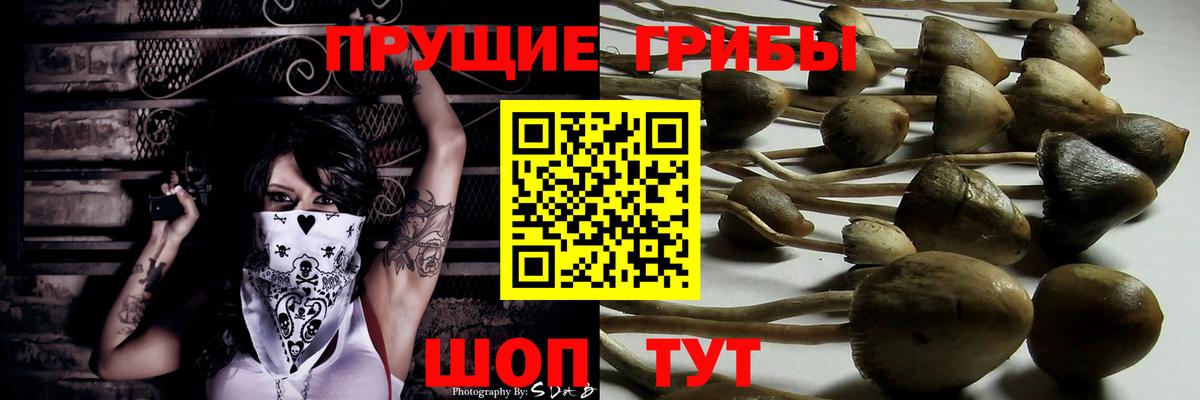 Галлюциногенные грибы прущие грибы Барабинск